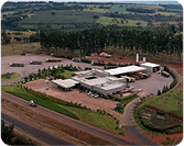 Decio Olhos D’Água